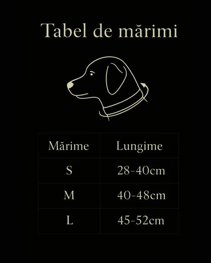 Zgardă Luminoasă Mavo