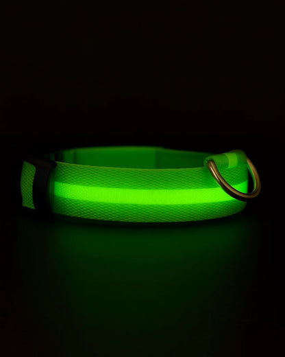 Zgardă Luminoasă Mavo